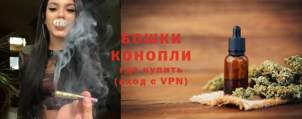 ПСИЛОЦИБИНОВЫЕ ГРИБЫ Белокуриха