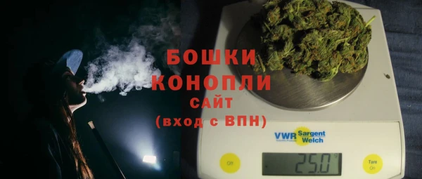 индика Беломорск