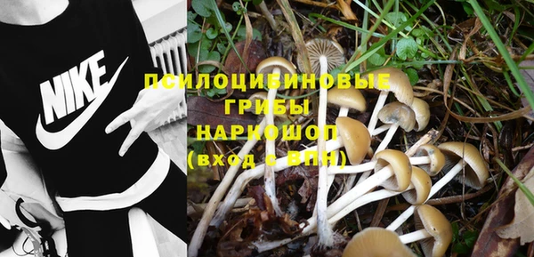 индика Беломорск
