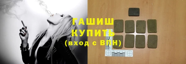 индика Беломорск