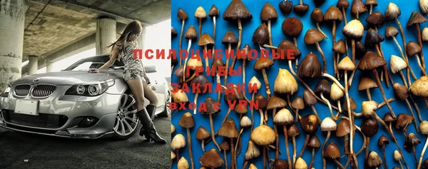 ПСИЛОЦИБИНОВЫЕ ГРИБЫ Белокуриха