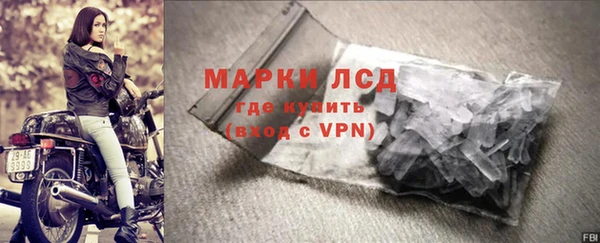 ПСИЛОЦИБИНОВЫЕ ГРИБЫ Белокуриха